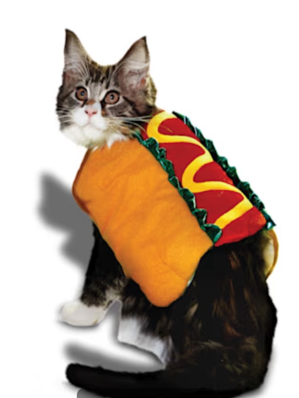 Hotdog XXS Cosplay Halloween Costume